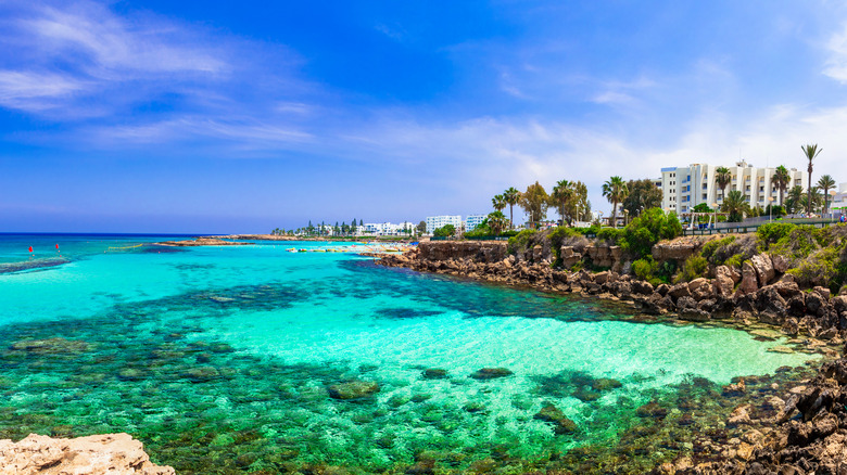 Fig Tree Bay in Cyprus