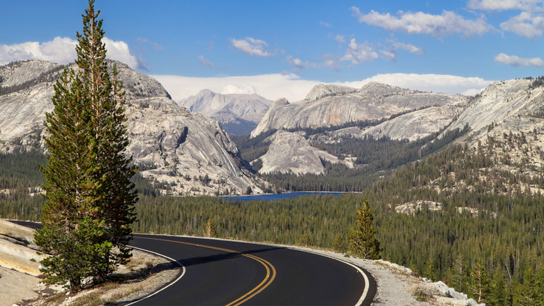 tioga pass view