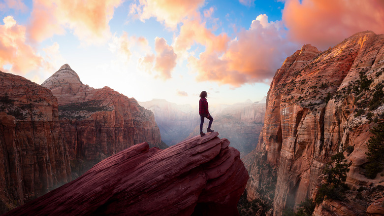 Person overlooking Zion National Park