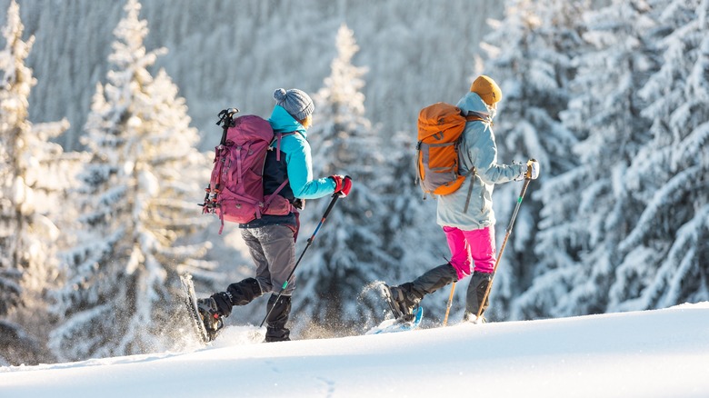 Two hikers in winter