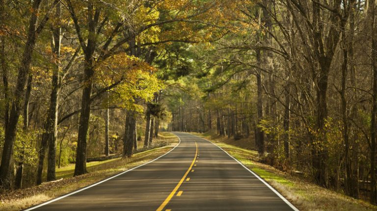 Natchez Trace Parkway in fall