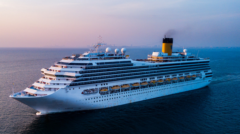 Cruise ship in ocean