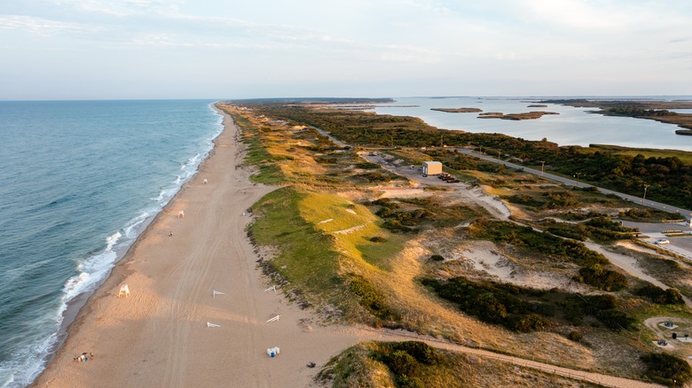 Aerial view of Sandbridge Beach