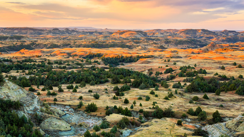 Theodore Roosevelt National Park