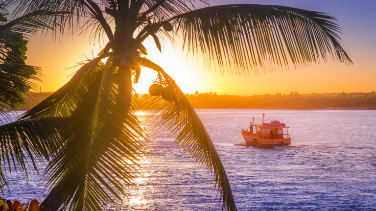 Trancoso palm tree boat