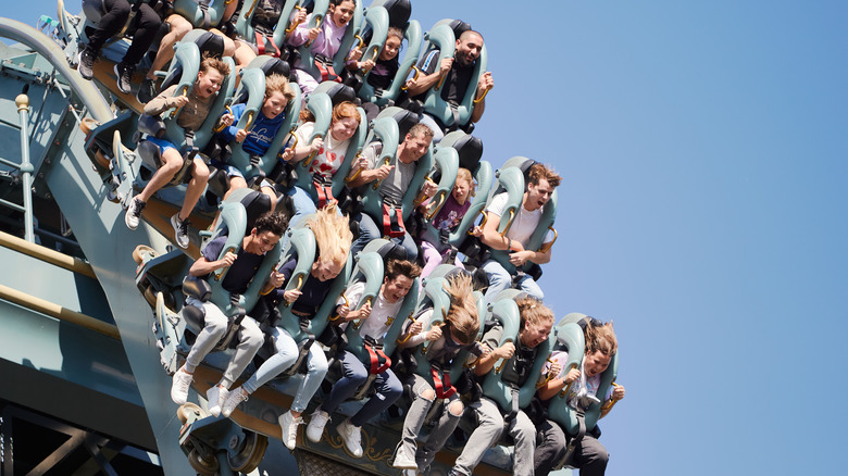 Roller coaster at Efteling theme park