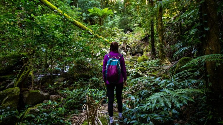 Woman hiking in rainforest