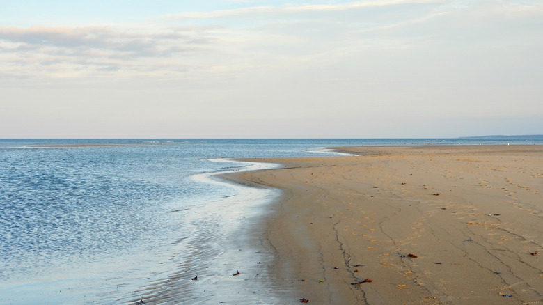 beautiful white sands of Crane Beach