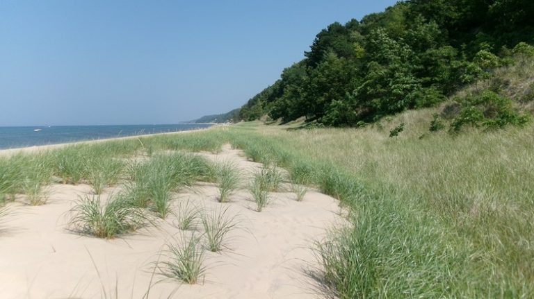 Saugatuck Dunes State Park