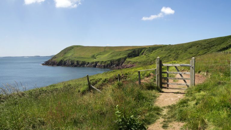 Hiking trail, Pembrokeshire Coast