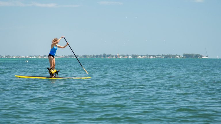 woman paddle boarding with dog