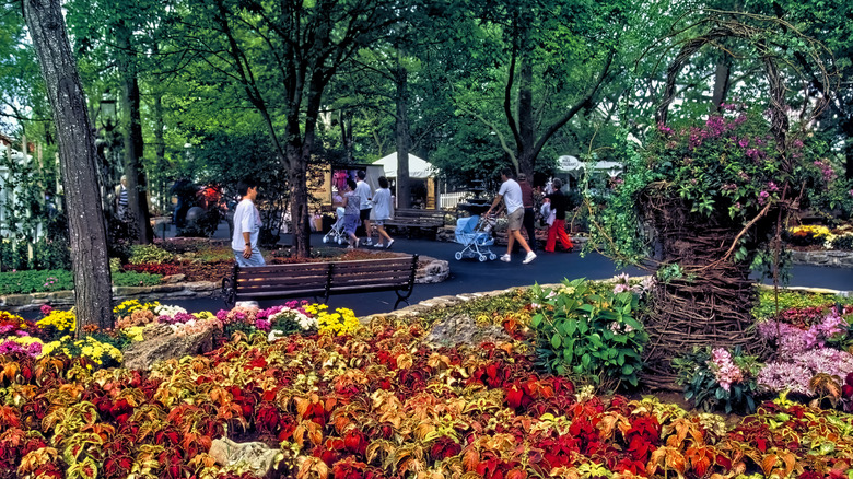 Families walking in Silver Dollar City