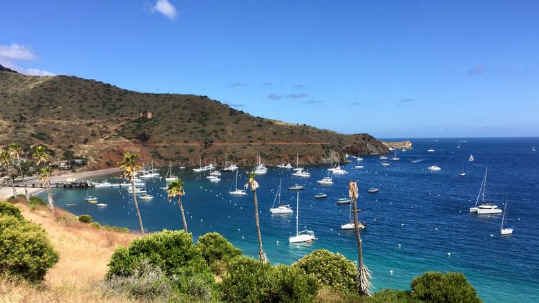 Two Harbors, Catalina Island, California