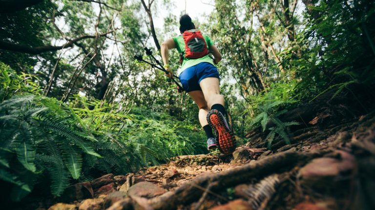 Woman hiking in the jungle