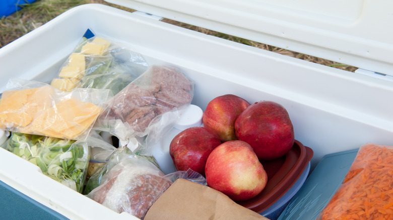 Cooler with food for camping