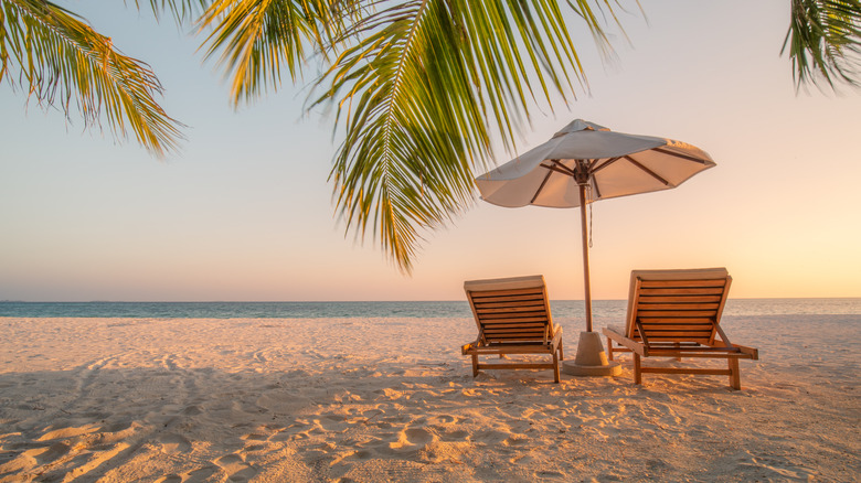 Lounge chairs on the beach