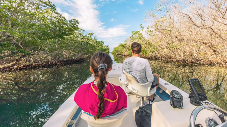 People kayaking in mangrove forest