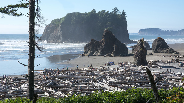 Ruby Beach & Abbey Island