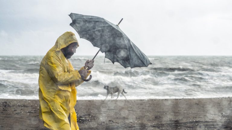 Person holding an umbrella