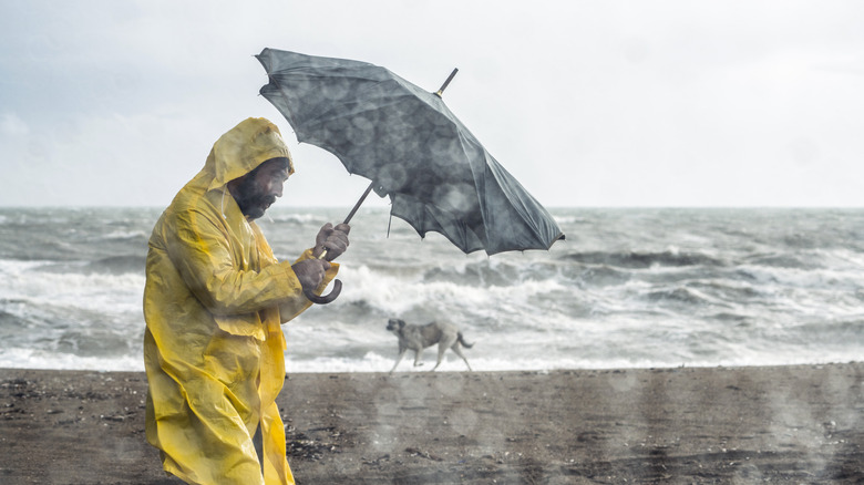 Person holding an umbrella