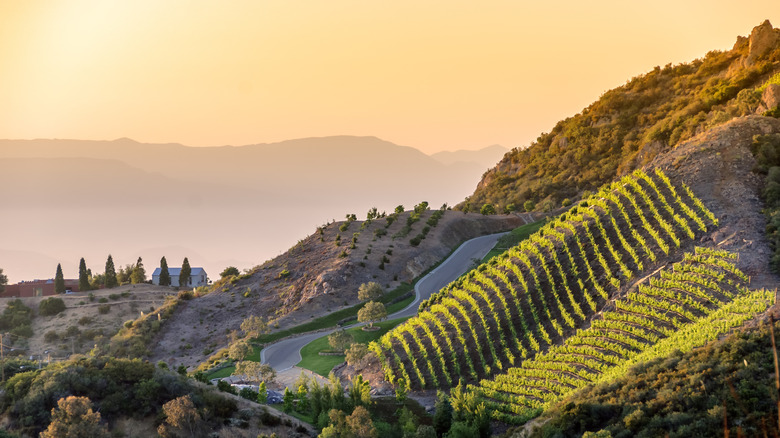 Rolling hills of Malibu, California