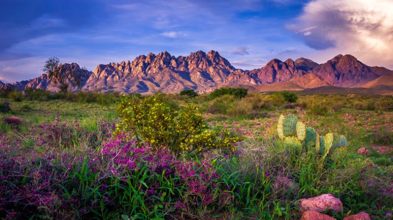 Views of the Organ Mountains in Las Cruces, New Mexico