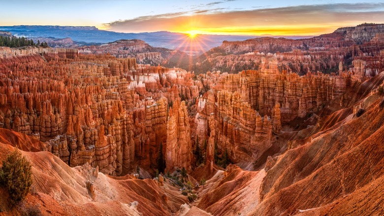 sun rising over the Hoodoos