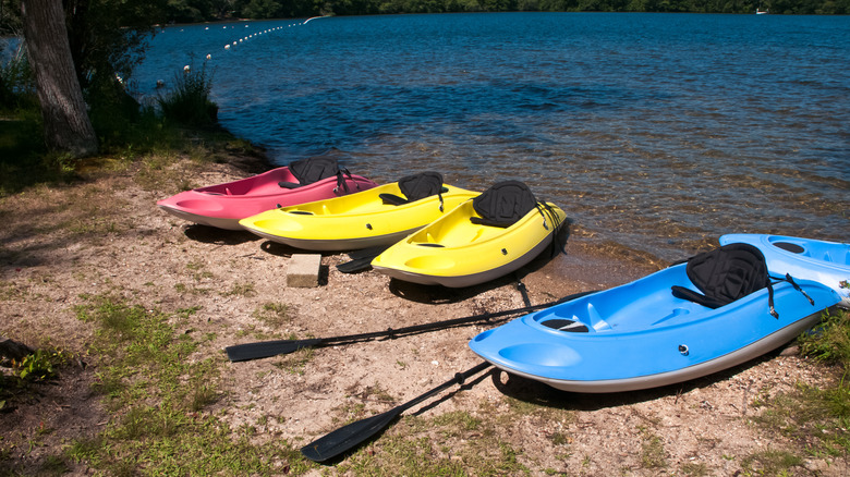 Rowing boats on a lake in Cape Cod