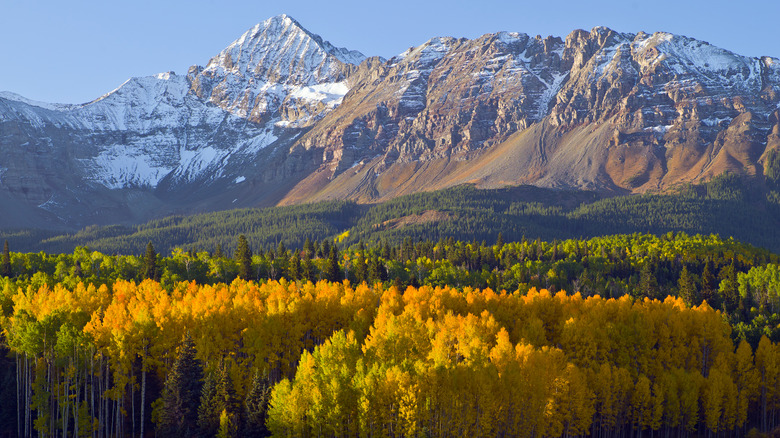 Fall colors in Telluride