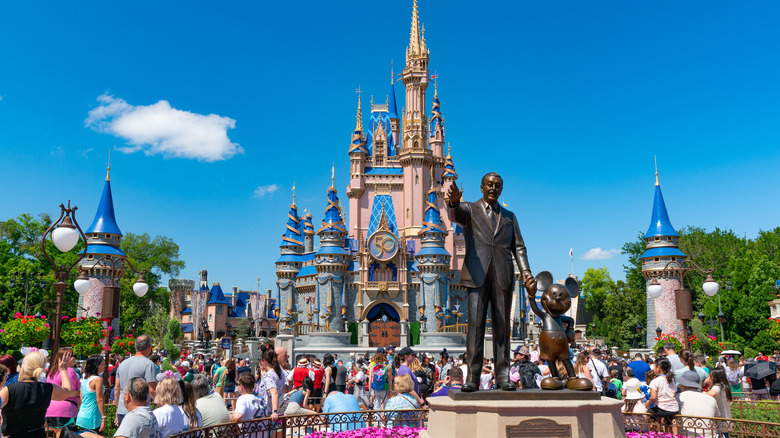 Crowd at Walt Disney World