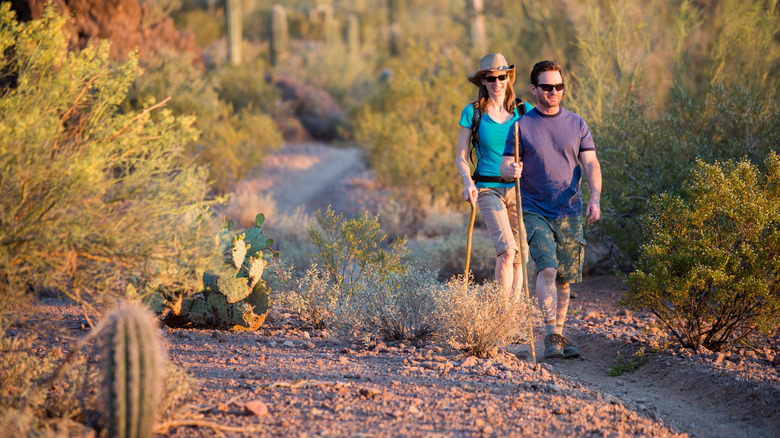 Couple hiking in the desert