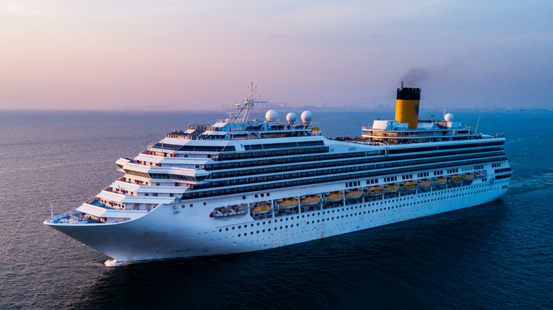 Aerial view of cruise ship