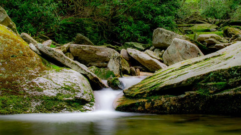 Midnight Swimming Hole in North Carolina