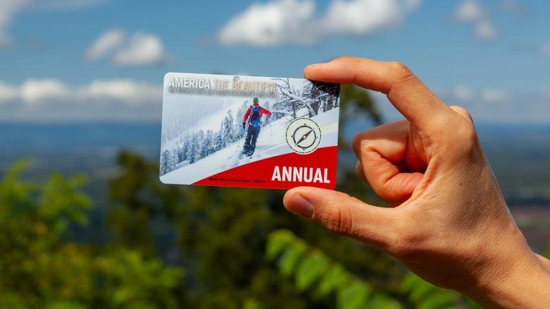 Person holding America the Beautiful Pass