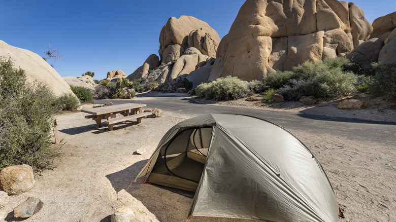 tent in Joshua Tree