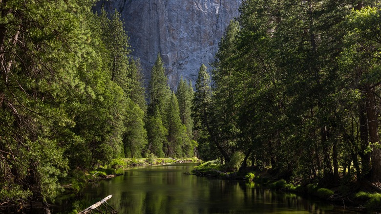 Yosemite National Park in California