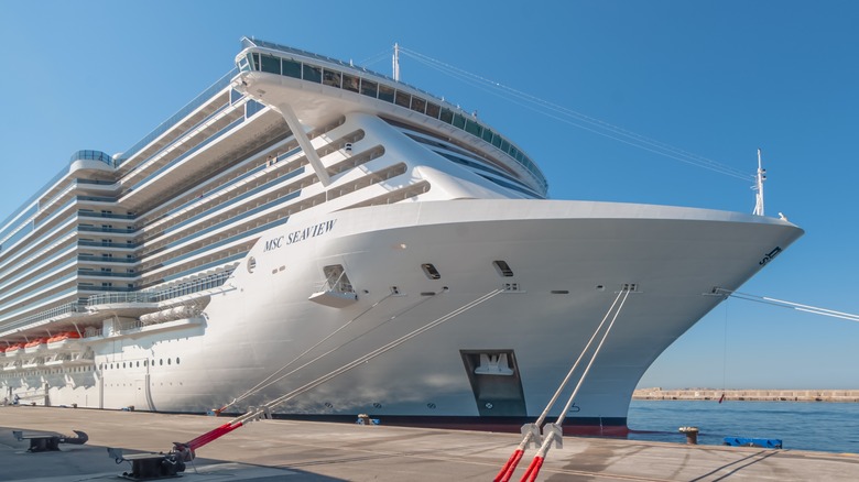 cruise ship at dock