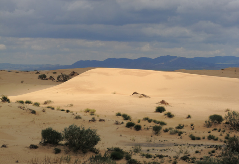 <h3>What Is the Average Yearly Rainfall in the Sahara Desert?</h3>