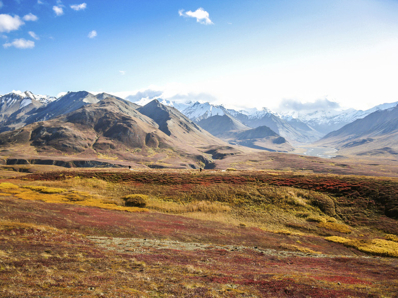 <h3>Exploring Tundra Landforms</h3>