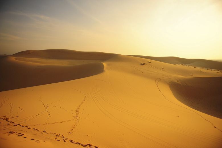 <h3>Identifying Four Nonliving Elements in a Desert Ecosystem</h3>