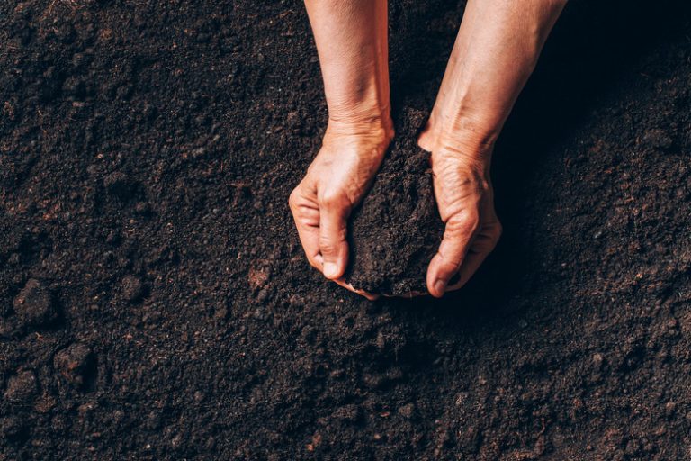 <h3>Five Applications of Soil</h3> <br /><h4>Exploring the Importance of Soil</h4>