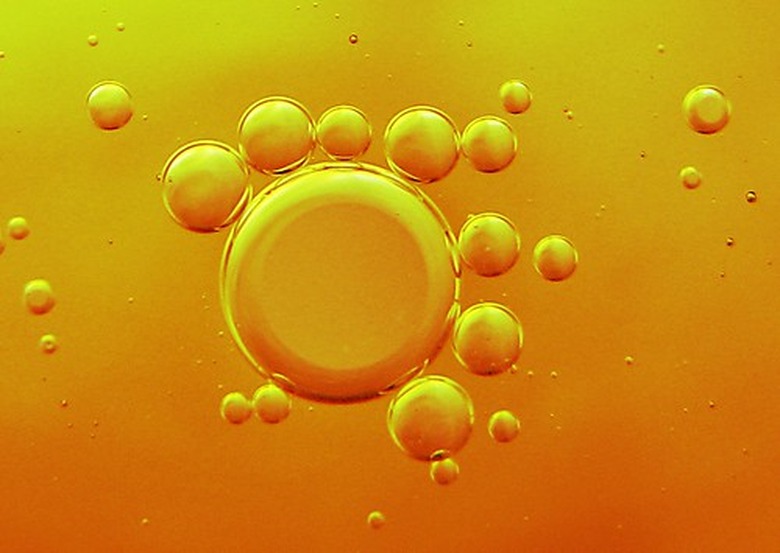 <h3>Understanding the Monomers of Triglycerides</h3>