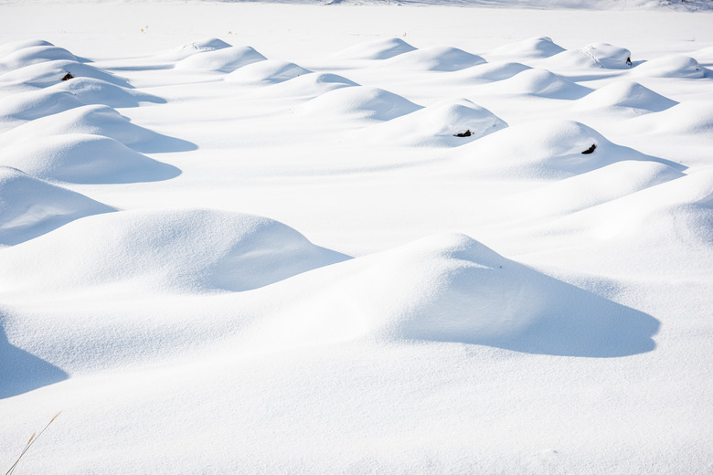 <h3>Five Biotic Factors in the Tundra Ecosystem</h3>