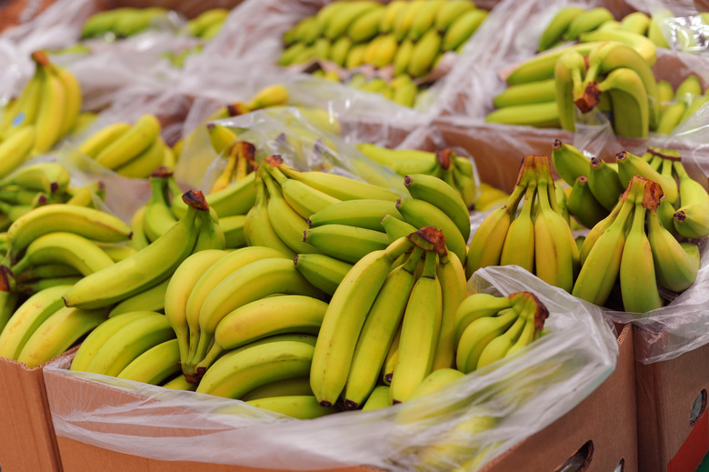 <h3>Banana Science Projects</h3> <h4>Sciencing</h4>