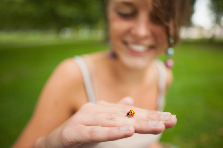 <h3>Understanding the Lifespan of a Ladybug</h3>