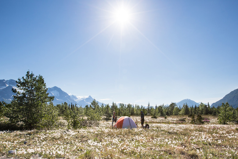 <h3>Understanding the Limiting Factors in Tundra Ecosystems</h3>