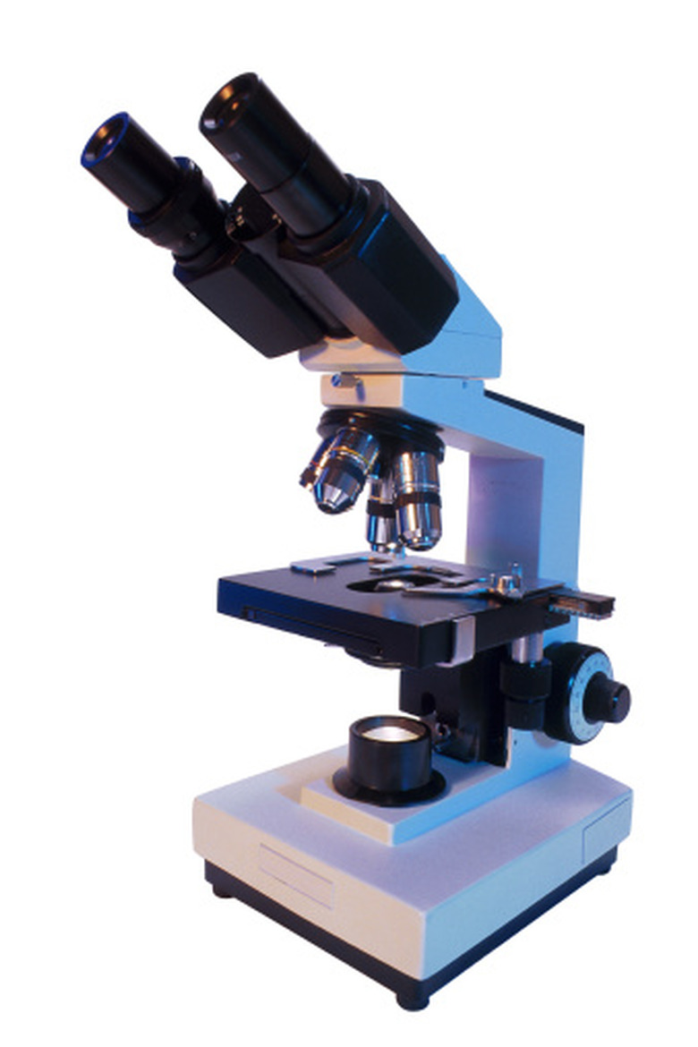 <h3>Components of a Microscope for Children</h3>