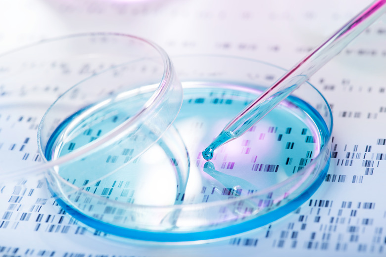 <h3>Chemicals Utilized in Forensic Science</h3>