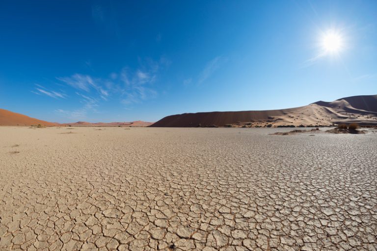 <h3>Understanding the Abiotic Factors in Desert Ecosystems</h3><br />