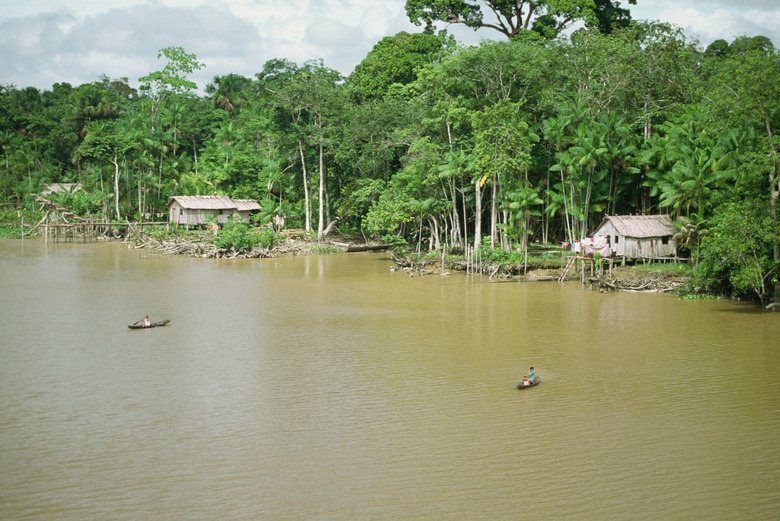 <h3>Exploring the Resources of the Amazon Rainforest</h3>